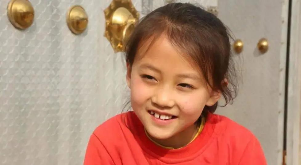 探寻塞上江南宁夏的魅力之旅