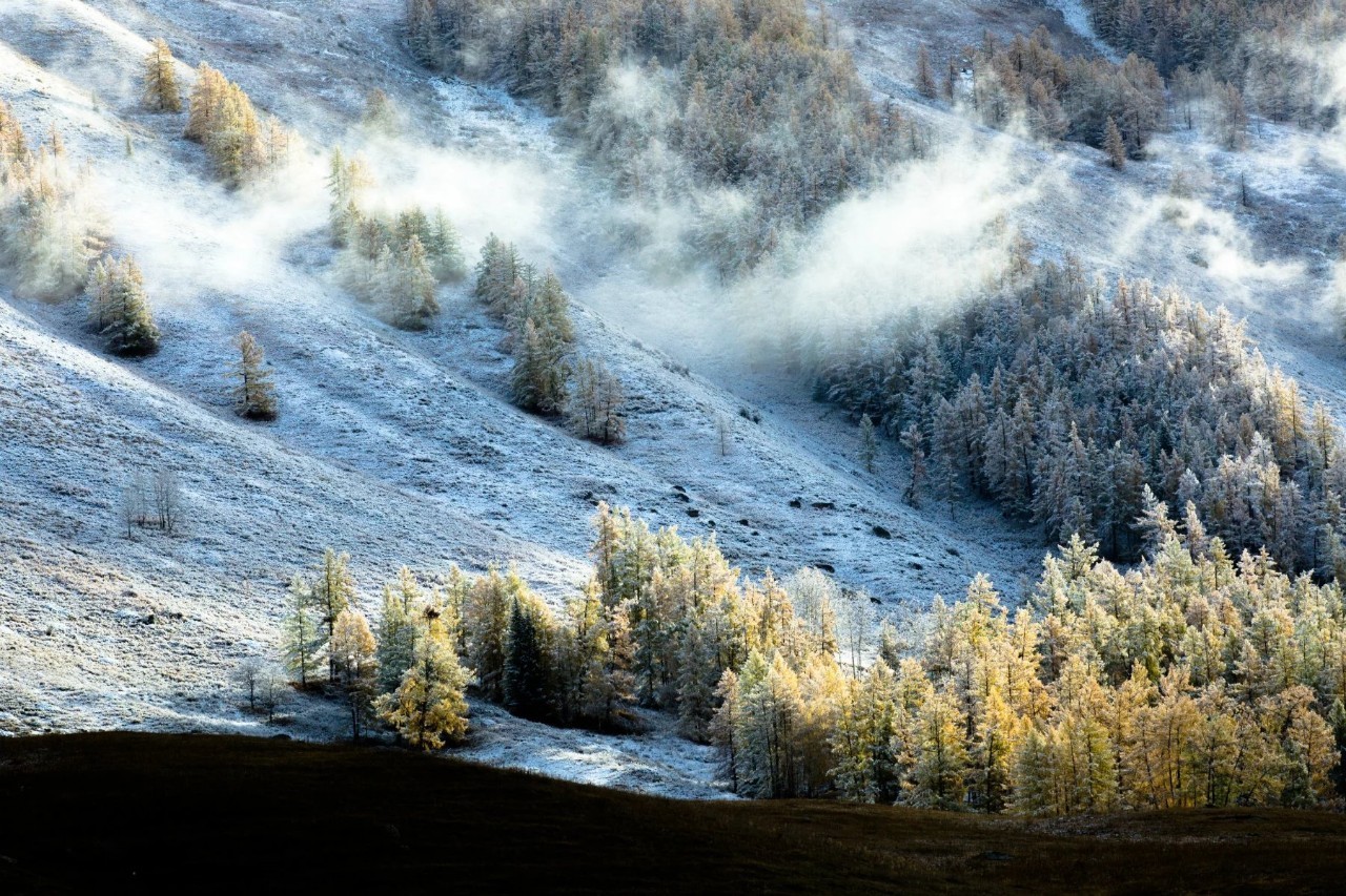 新疆风光无限——主持人播音稿