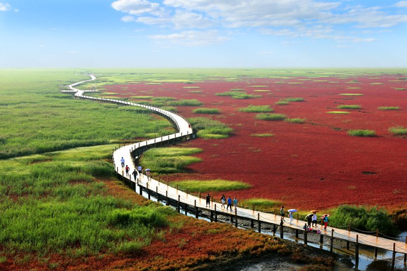 盘锦自然探索之旅,寻找内心的平和与宁静的美景胜地