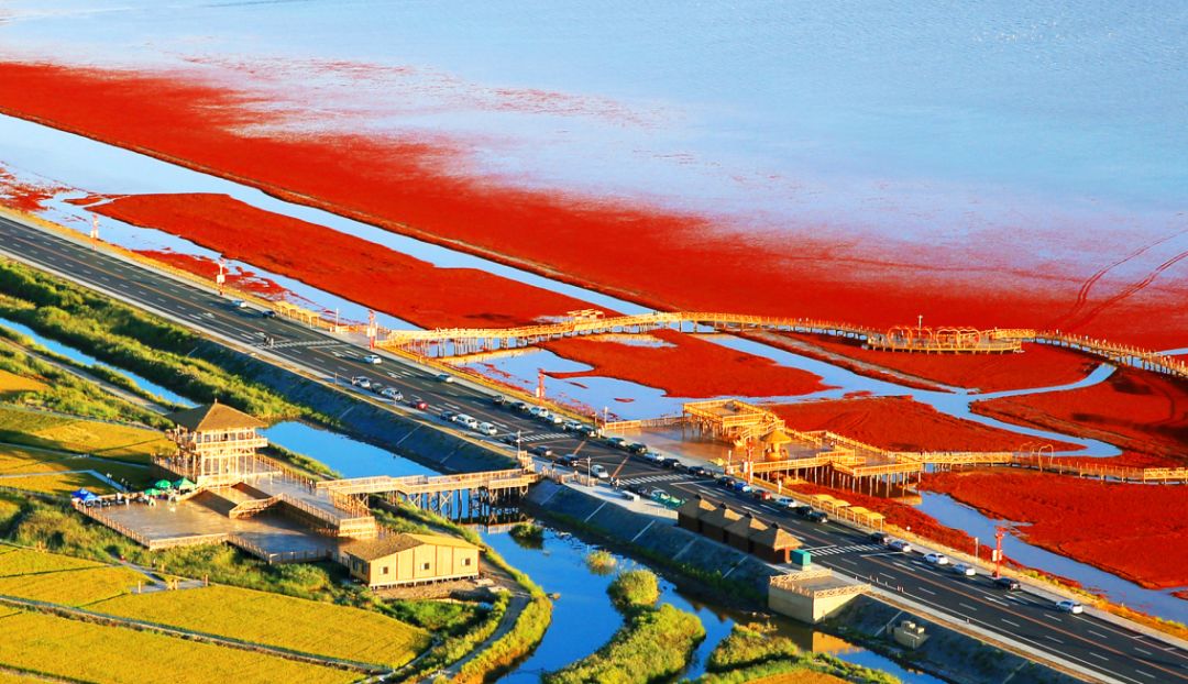 盘锦自然探索之旅,寻找内心的平和与宁静的美景胜地