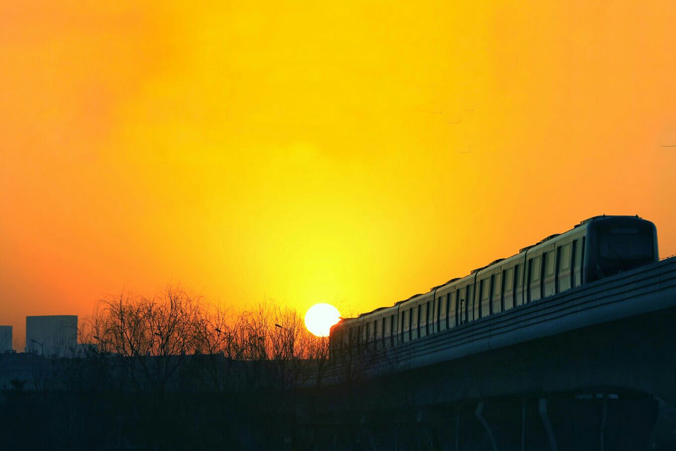 朝阳,希望、生机与活力的象征